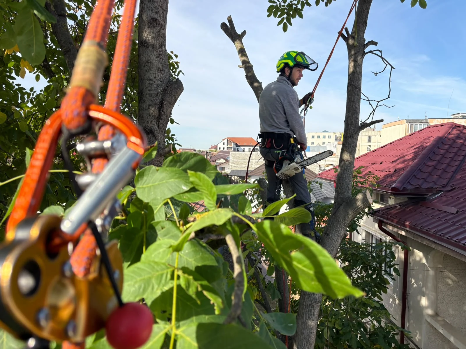Intervenție de toaletare arbori în zonă urbană